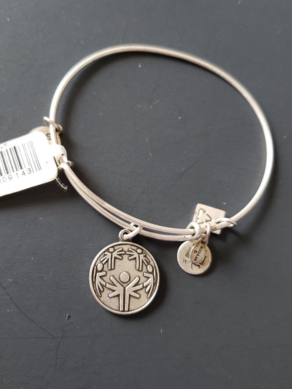 Alex and Ani (+) Energy Power of Unity Bracelet 718